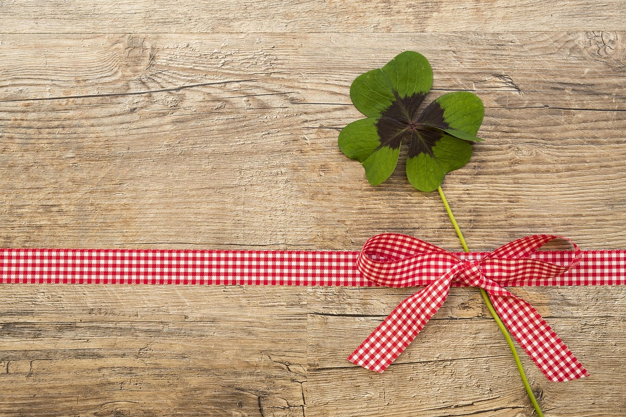 BESPOVRATNA sredstva za žensko preduzetništvo